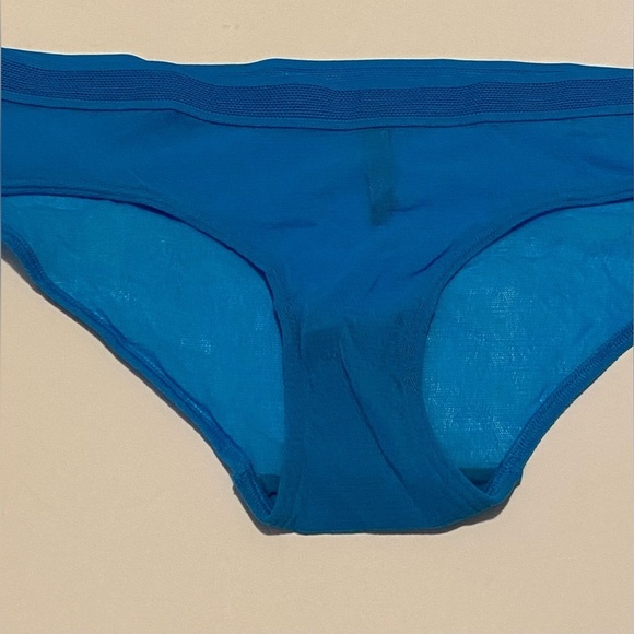 Victoria’s Secret Pink Blue Mesh Low Rise Retro Brief Size L New Without Tag - Picture 2 of 7